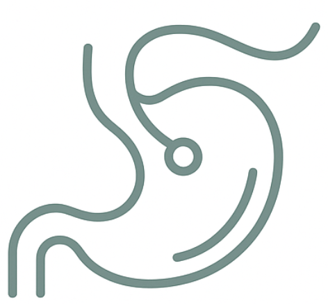 Endoscopic Weight Loss
