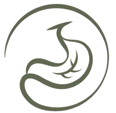 傑初診所 Logo